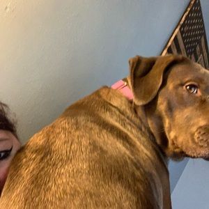 Meet your Posher, Jennifer